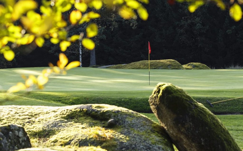 Perfect-Eagle-GC-Haugschlag-Impression